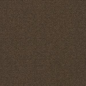 M220 camel