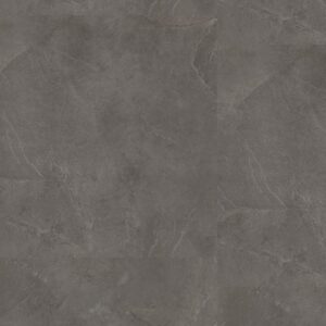 P365 click SRC dark grey