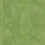 P370 dryback green