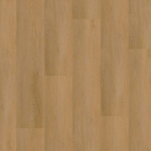 P450 dryback dark oak